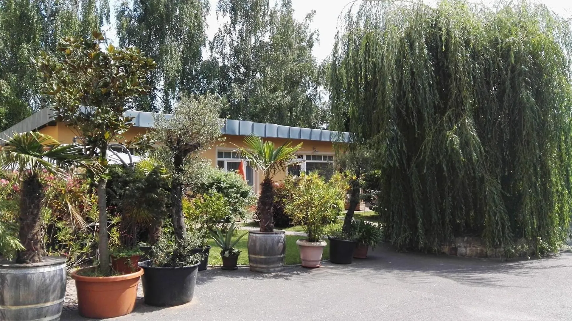 Lägenhet Ferienwohnung 3 Dresden